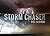 Storm Chaser