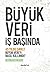 Büyük Veri İş Başında: 45 Yıldız Şirket Büyük Veri'yi Nasıl Kullandı?