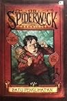 The Seeing Stone by Tony DiTerlizzi