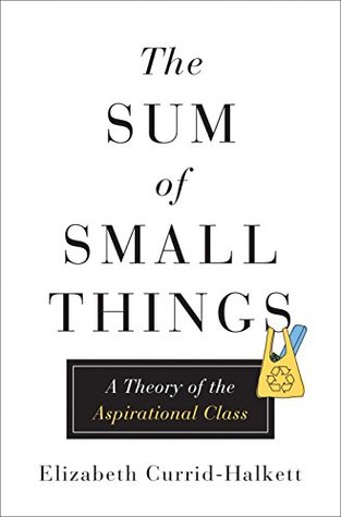 The Sum of Small Things: A Theory of the Aspirational Class