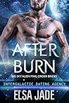 After Burn by Elsa Jade