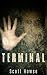 Terminal