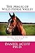 The Magic of Wild Horse Valley by Daniel Acuff
