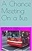 A Chance Meeting On a Bus: ...