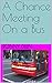 A Chance Meeting On a Bus by Ronny Deen