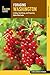 Foraging Washington: Findin...