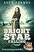 Bright Star Falling: The time travel saga goes into the West... (Touchstone Book 8)