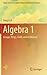 Algebra 1: Groups, Rings, Fields and Arithmetic (Infosys Science Foundation Series)