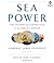 Sea Power: The History and Geopolitics of the World's Oceans