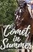 Comet in Summer
