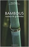 Bambous: Roseaux & Graminées