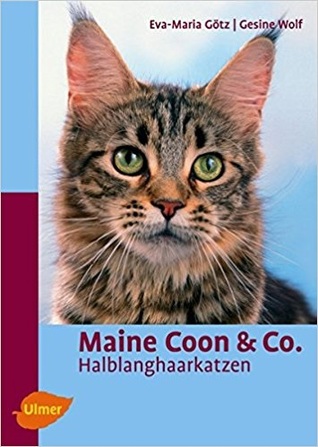 Maine Coon & Co Halblanghaarkatzen