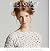 Filigree: Collection Three