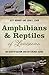 Amphibians and Reptiles of Louisiana: An Identification and Reference Guide