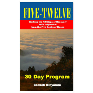 Five - Twelve: 30 Day Program: Work the 12 Steps in 30 days with inspiration from the Bible