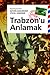Trabzon'u Anlamak by Yücel Demirer