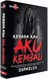Kerana Kau... Aku Kembali