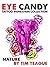 EYE CANDY Tattoo Reference ...
