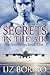 Secrets in the Air (Secrets, #1)