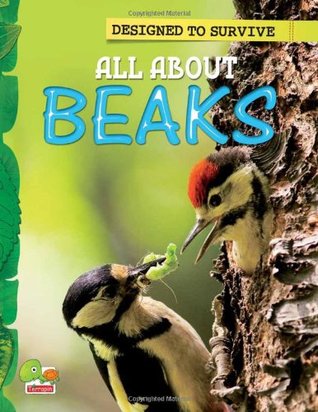 Designed to Survive: All About Beaks (Paperback)