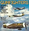 Gunfighters: Airworthy Fighter Airplanes of WW2 and Korea (Osprey Colour Series)