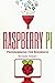 Raspberry Pi: How To Master...
