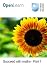 Succeed with maths – Part 1