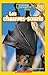 Les Chauves-Souris (National Geographic Kids: Niveau 3)
