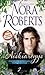 Aiškiaregys by Nora Roberts