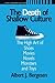 Depth of Shallow Culture: The High Art of Shoes, Movies, Novels, Monsters, and Toys
