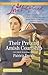 Their Pretend Amish Courtship (The Amish Bachelors #4) by Patricia Davids