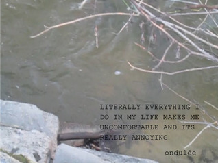 literally everything i do in my life makes me uncomfortable and it's really annoying (ebook)