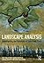 Landscape Analysis: Investi...