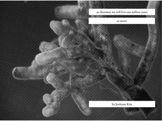 As Rhizomes We Will Live One Million Years or More