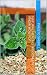 Natural Healing Wisdom And Know How Pdf by Fausto Sherill