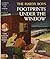 Footprints Under the Window (The Hardy Boys #12)