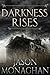 Darkness Rises (Jeffrey Fli...