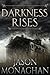 Darkness Rises (Jeffrey Flint #1)