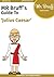 Mr Bruff's Guide to 'Julius Caesar'