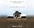 American Fire: Love, Arson, and Life in a Vanishing Land