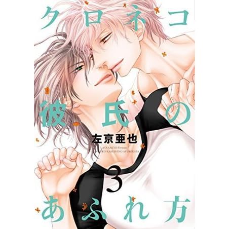 クロネコ彼氏のあふれ方 3 Kuroneko Kareshi No Afurekata 3 By Aya Sakyo