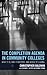 The Completion Agenda in Co...