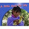 A Little Duck for Lily