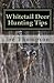Whitetail Deer Hunting Tips