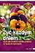 Żyć każdym dniem, czyli jak znaleźć radość w małych rzeczach