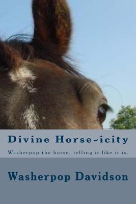 Divine Horse-icity: Washerpop the horse, telling it like it is. He calls a spade a spade alright. A 20th century Black Beauty on spiritual crack. ... end of this book, the same as you went in.