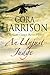 An Unjust Judge (Burren Mysteries #14)