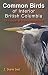 Common Birds of Interior Br...