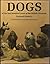 Dogs of the Last Hundred Ye...