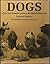 Dogs of the Last Hundred Years at the British Museum by Kim Dennis-Bryan
